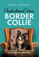 Understand Your Border Collie