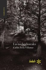 Las noches boreales