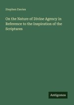 On the Nature of Divine Agency in Reference to the Inspiration of the Scriptures