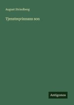 Tjensteqvinnans son