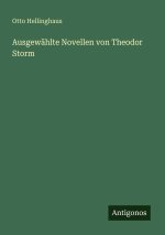 Ausgewählte Novellen von Theodor Storm