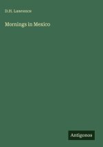 Mornings in Mexico