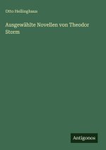 Ausgewählte Novellen von Theodor Storm