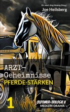 Arztgeheimnisse (Oldtimer-Trilogie II)
