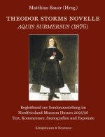 Theodor Storms Novelle Aquis submersus (1876)