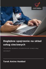 Dog¿¿bne spojrzenie na sk¿ad us¿ug sieciowych