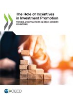 The Role of Incentives in Investment Promotion