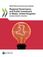 Regional Governance and Public Investment in Wales, United Kingdom