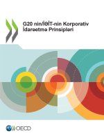G20 nin/¿¿¿T-nin Korporativ ¿dar¿etm¿ Prinsipl¿ri 2023