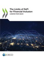 The Limits of DeFi for Financial Inclusion