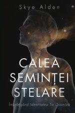 Calea Semin¿ei Stelare