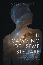 Il Cammino del Seme Stellare