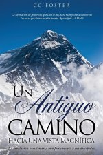 Un Antiguo Camino Hacia Una Vista Magnífica