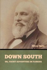 Down South; or, Yacht Adventure in Florida