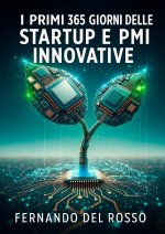 primi 365 giorni delle startup e PMI innovative