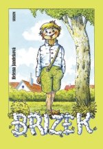 Břízek