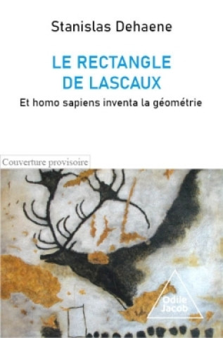 Le rectangle de Lascaux