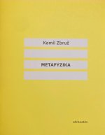 Metafyzika