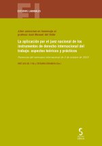 Aplicacion por el juez nacional de los instrumentos derecho