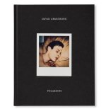 David Armstrong Polaroids