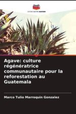 Agave: culture régénératrice communautaire pour la reforestation au Guatemala