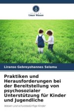 Praktiken und Herausforderungen bei der Bereitstellung von psychosozialer Unterstützung für Kinder und Jugendliche