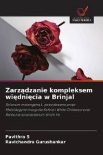 Zarzadzanie kompleksem wiedniecia w Brinjal
