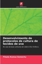 Desenvolvimento de protocolos de cultura de tecidos de uva