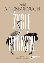 Życie ptaków