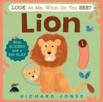 Look at Me, What Do You See? Lion