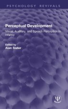 Perceptual Development