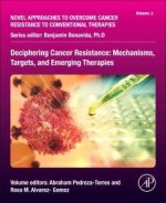 Deciphering Cancer Resistance: Mechanisms, Targets, and Emerging Therapies