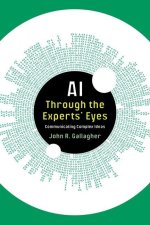 AI Through the Experts' Eyes