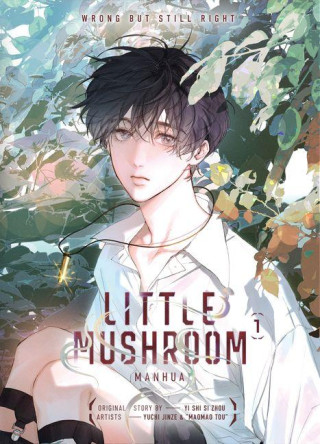 Little Mushroom Manhua Vol.1