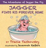 Jagger Finds his Forever Home
