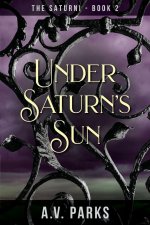 Under Saturn's Sun