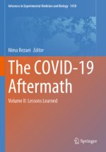 The COVID-19 Aftermath