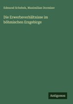 Die Erwerbsverhältnisse im böhmischen Erzgebirge