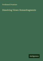 Dissolving Views: Romanfragmente