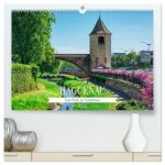 Haguenau - eine Perle im Nordelsass (hochwertiger Premium Wandkalender 2026 DIN A2 quer), Kunstdruck in Hochglanz