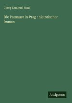 Die Passauer in Prag : historischer Roman