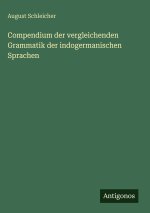 Compendium der vergleichenden Grammatik der indogermanischen Sprachen