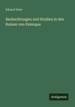 Beobachtungen und Studien in den Ruinen von Palenque