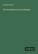 Die Sternbuben in der Großstadt