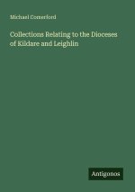 Collections Relating to the Dioceses of Kildare and Leighlin