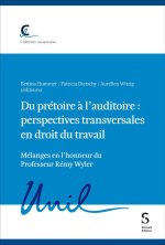 Du prétoire à l'auditoire : perspectives transversales en droit du travail