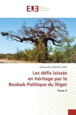Les défis laissés en héritage par le Boabab Politique du Niger
