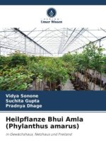Heilpflanze Bhui Amla (Phylanthus amarus)