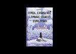 Tymek, Czarny Kot i zimowe sekrety zamczyska