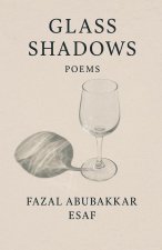 Glass Shadows